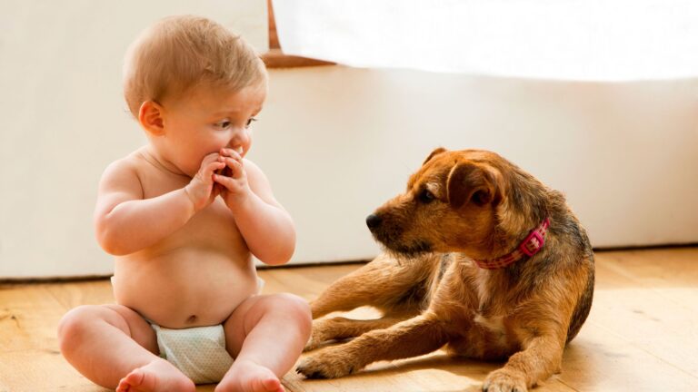 Balancing Baby and Pup